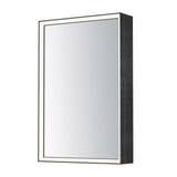 Bevel LED Mirror by ET2 - 24" x 36" Medicine Cabinet Brushed Black