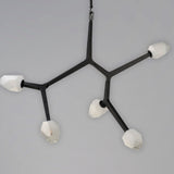 Blossom LED Pendant by ET2 - 5-Light Black