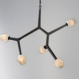 Blossom LED Pendant by ET2 - 5-Light Black