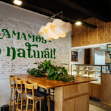 Natural Blume Drei Linear Pendant by Traum