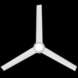 Bolo Smart Fan Matte White By Modern Forms - Down View