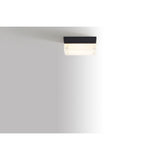 Boxie Outdoor Wall/Ceiling Light
