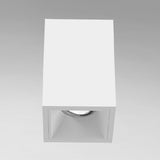 Bravo Gimbal Surface Mount White By Fase1Lighting