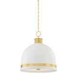 Briscoe Pendant - 20.25 Inch by Hudson Valley