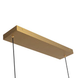 Brushed Gold 48inch Dottie Linear Pendant by Alora Lighting Details