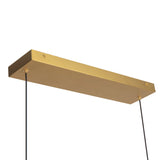 Brushed Gold 60inch Dottie Linear Pendant by Alora Lighting Details