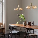 Bushed Brass/Optic Gold Apiales 6 Pendant Light by Nuura