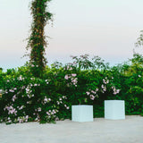 Cuby Solar & Rechargeable Cube Lamp by New Garden