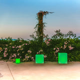 Cuby Solar & Rechargeable Cube Lamp by New Garden