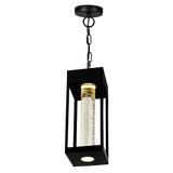 Rochester Integrated LED Outdoor Pendant