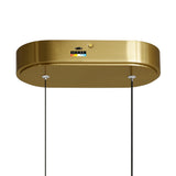 Curva Integrated LED 22in Chandelier with Handcrafted Glass