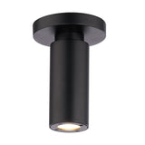 Caliber Outdoor Ceiling Mount Black By WAC Lighting