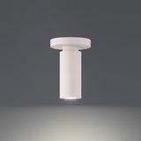Caliber Outdoor Ceiling Mount White By WAC Lighting Detailed View