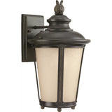 Cape May Outdoor Wall Lantern — 15.5 Inch, Burled Iron with Etched Hammered with Light Amber Glass