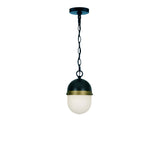Capsule Outdoor Pendant 12.25" Matte Black + Textured Gold