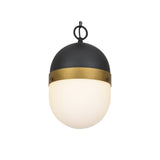 Capsule Outdoor Pendant 8" Matte Black + Textured Gold