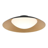 Caravon Ceiling Light 17.75 Inch