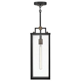 Catalina Medium Hanging Lantern