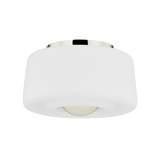 Ciela Flush Mount Polished Nickel By Mitzi