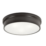 Ciotola Ceiling Light 15 Inch Bronze