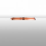 Clara Ceiling / Wall Light by Flos - Product View 2