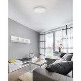 Collins Flush Mount — Flush Mount