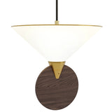 Compass Pendant Light Satin Brass Walnut By CVL