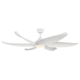 Coronado Fan Large White By Kuzco