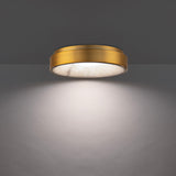 Crackle Flush Mount