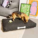 Doggielounge Dog Bed - Large, Thunder Grey, with a dog