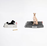 Doggielounge Dog Bed - Small and Large, with dogs