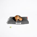 Doggielounge Dog Bed - Small, Rock Grey, with a dog