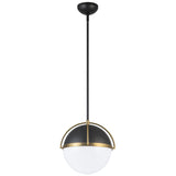 Dahlia Collect Pendant Light By Artcraft1