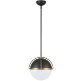 Dahlia Collect Pendant Light By Artcraft