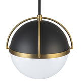 Dahlia Collect Pendant Light By Artcraft Detailed View