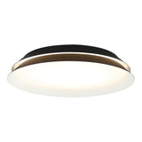 Dahlia Wall Sconce 18 Inch Matte Black