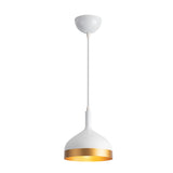 Dash Pendant Light Small By Artcraft