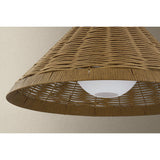 Devlin Pendant by Troy Lighting