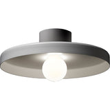 Disc Wall/Ceiling Light