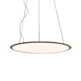 Discovery Suspension