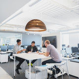 Dome Scraplights Pendant, Finish: Natural