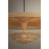 Draco Pendant by Troy Lighting