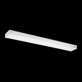 Drop Lens Fluorescent Flushmount — 48 Inch, White