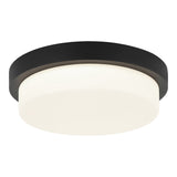 Durham Ceiling Light 13 Inch Matte Black