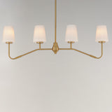 Durham Linear Suspension Natural Aged Brass by Maxim Lighting