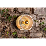 Eclipse Wall Light - Satin Brass