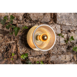 Eclipse Wall Light - Satin Brass