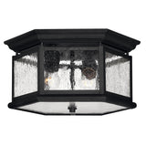 Edgewater Small Flush Mount - Black - by Hinkley