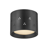 Edisto Flush Mount - Distressed Bronze by Hudson Valley