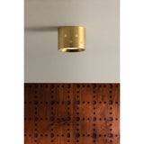 Edisto Flush Mount by Hudson Valley
